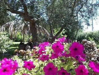 Le Coccinelle Castellana Grotte