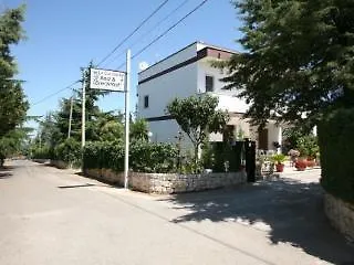 Le Coccinelle