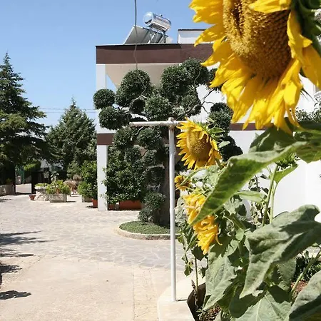 Bed & Breakfast Le Coccinelle 5*